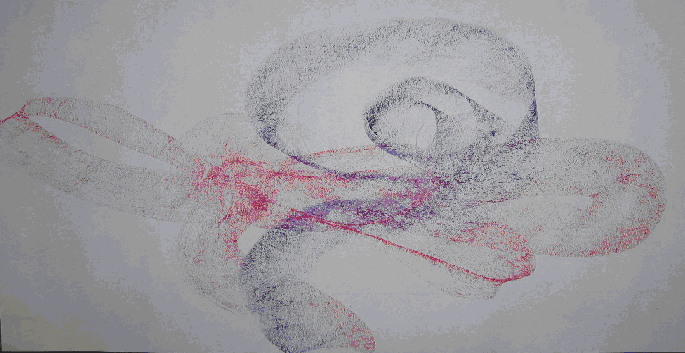 img1.gif